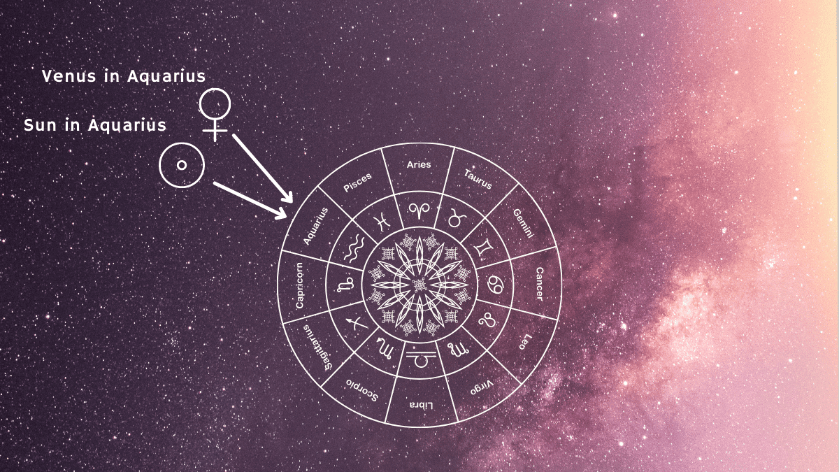 sun and venus in the sign of aquarius pointed on the zodiac wheel